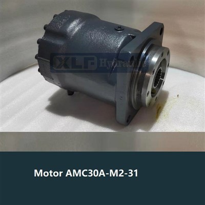 AMC-30A-M2 Special Hydraulic Motor for Keeling Cranes On Ships